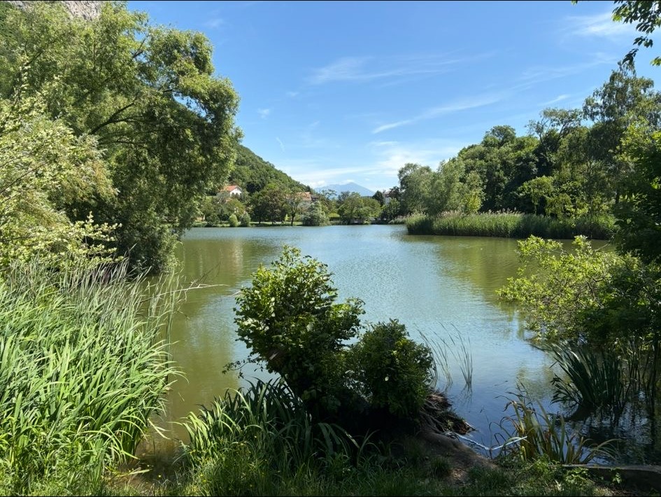 Parc de Fiancey à Saint-Égrève, cadre de la walking therapy